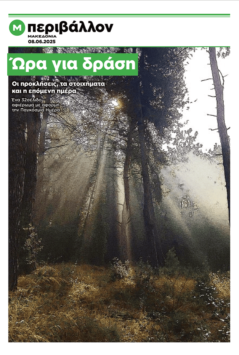 Περιβάλλον ένθετο