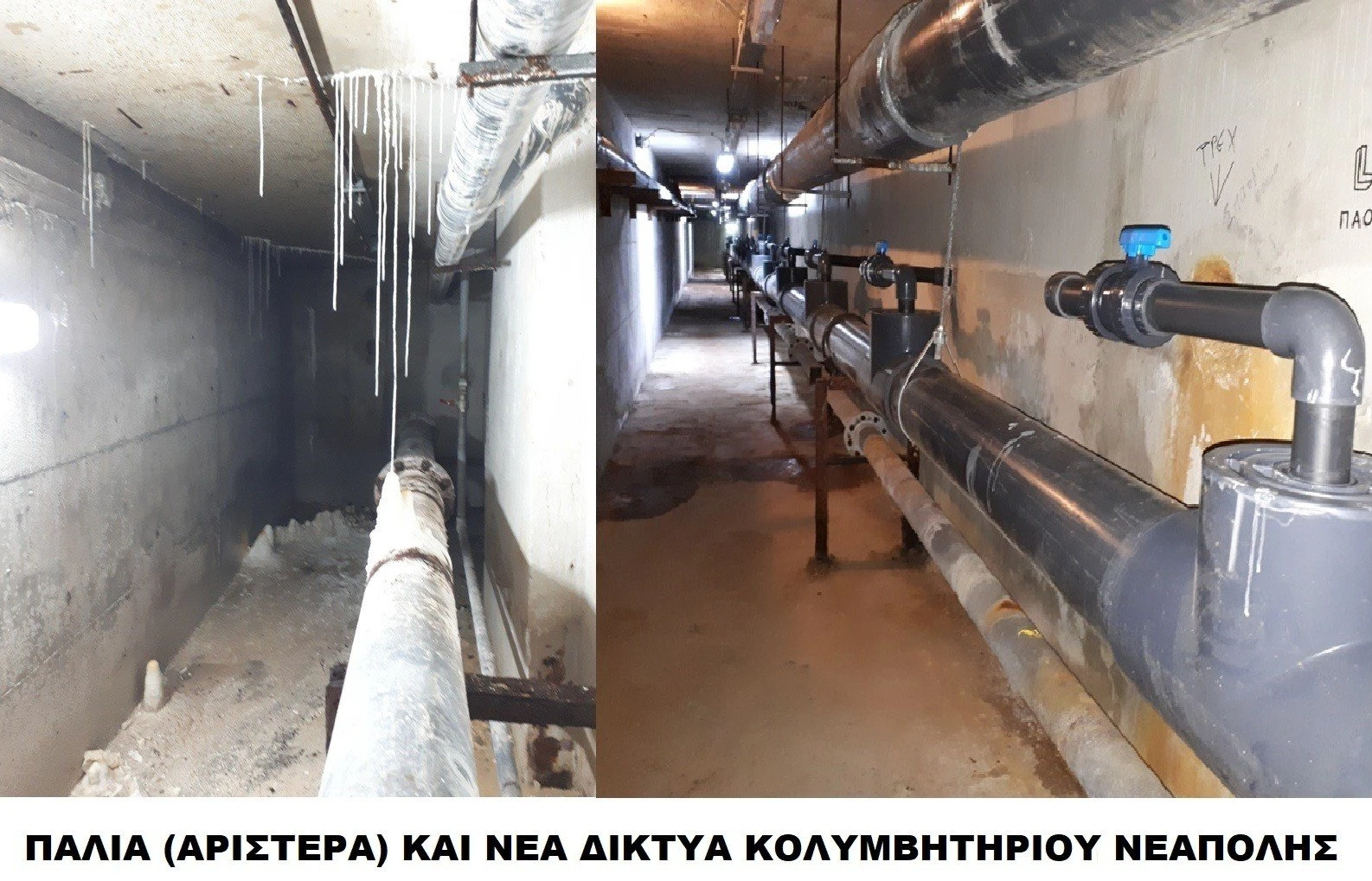 diktya1.jpg