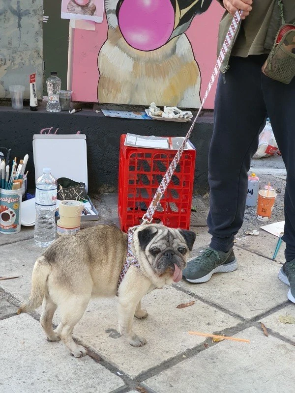 thumbnail-20211026-141156.jpg