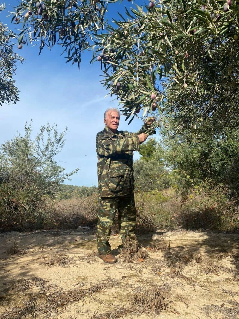 psomiadis-farma1.jpg