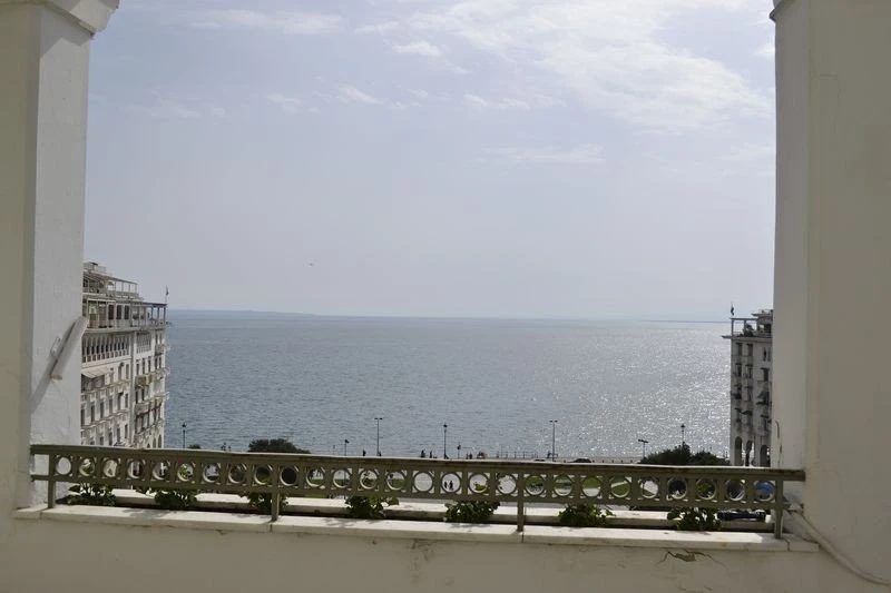 oikeia-tellogloy11.jpg
