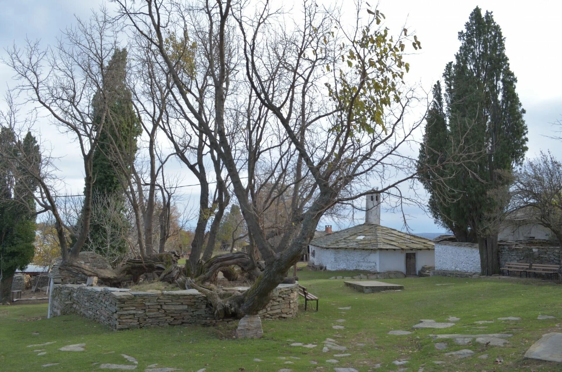 mouria-tekes.jpg