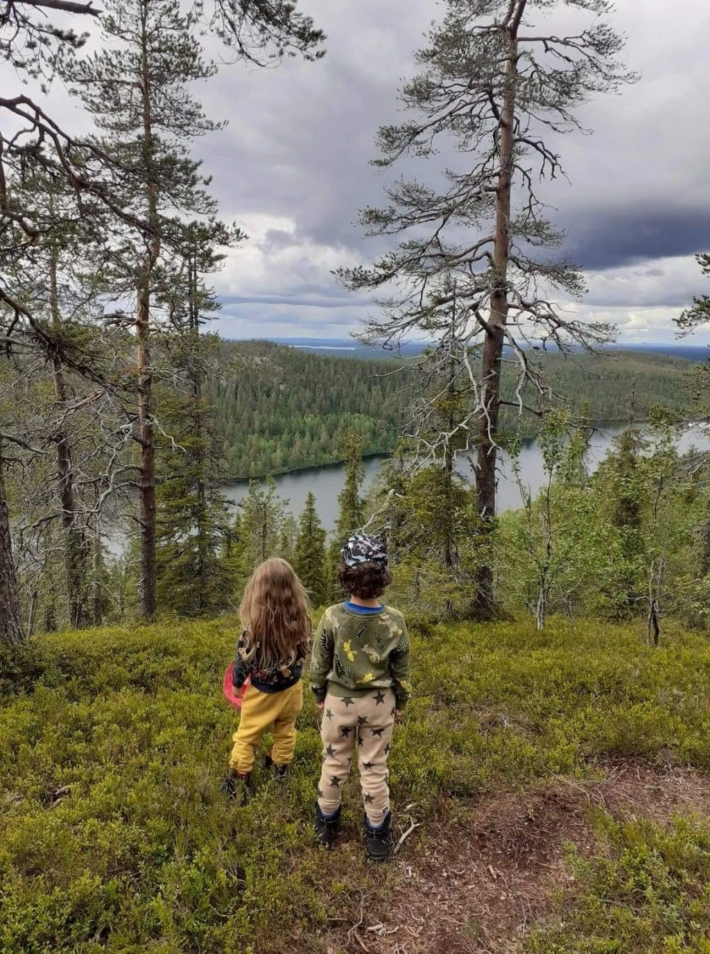 paidia-rovaniemi.jpg