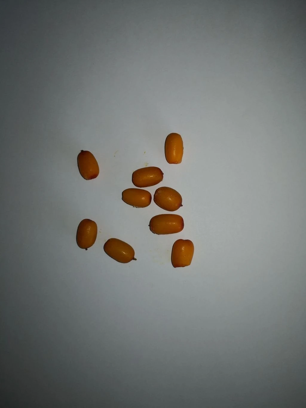 ippofaes-superfood.jpg
