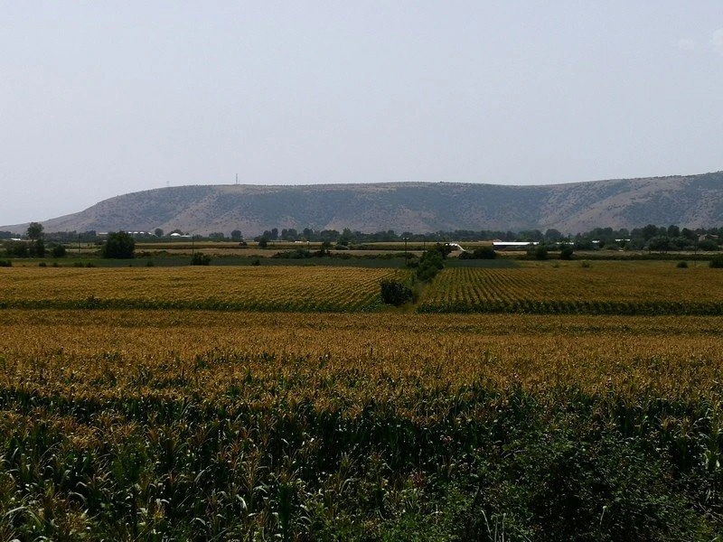 erimopoiisi2.jpg