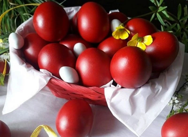 kokkina-avga.jpg?v=0