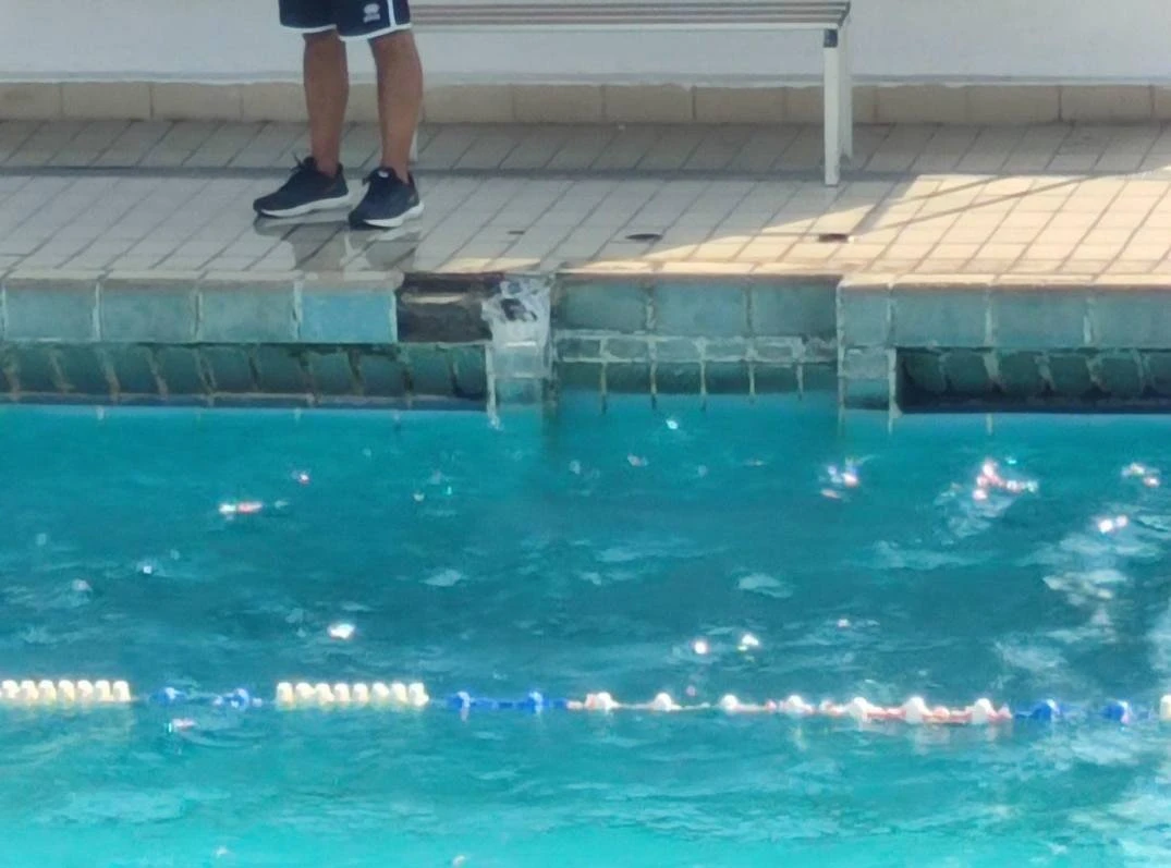 286246470-344171717791039-1928256016680255633-n.jpg