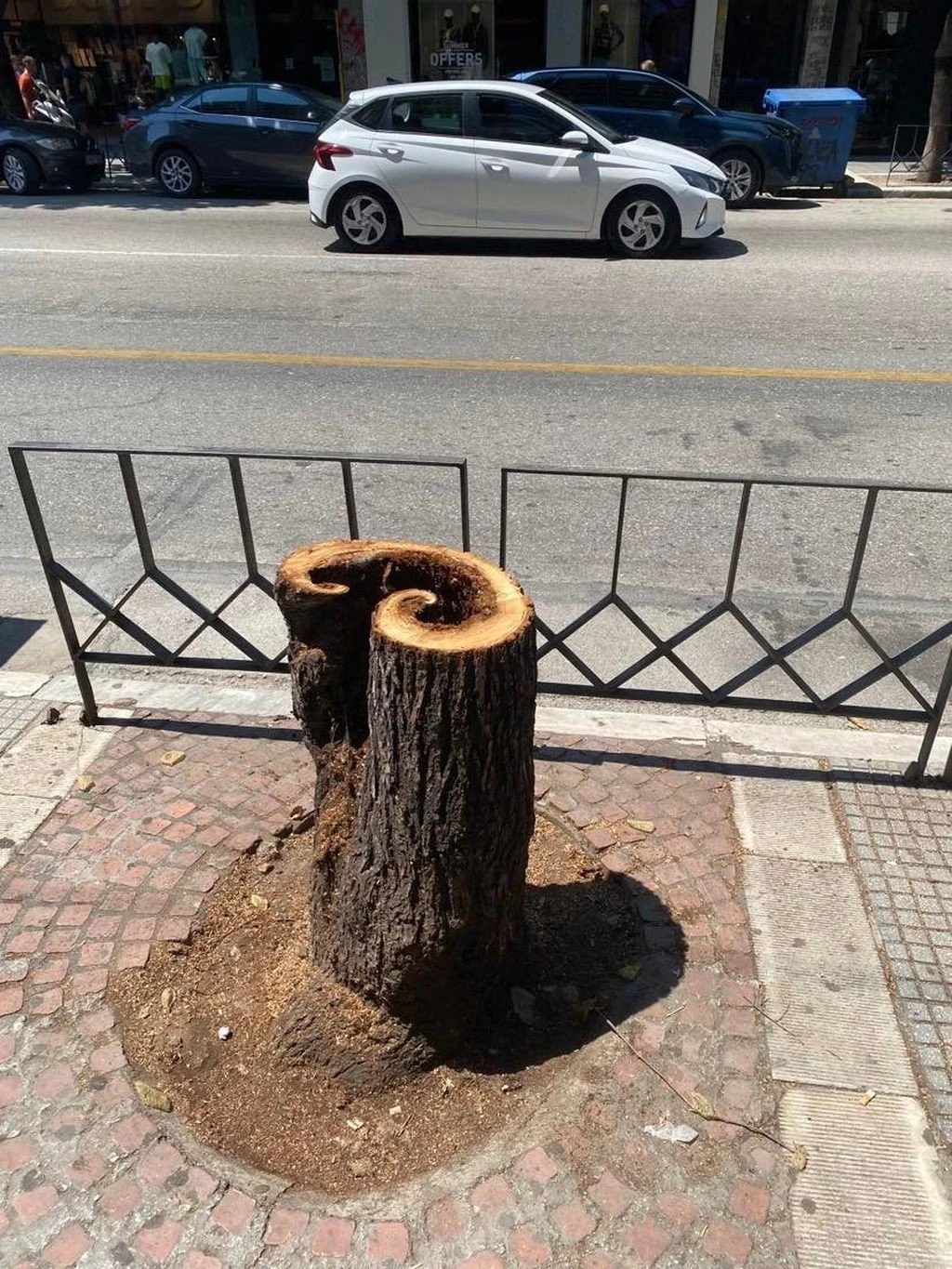 Κομμένο δέντρο στην Τσιμισκή