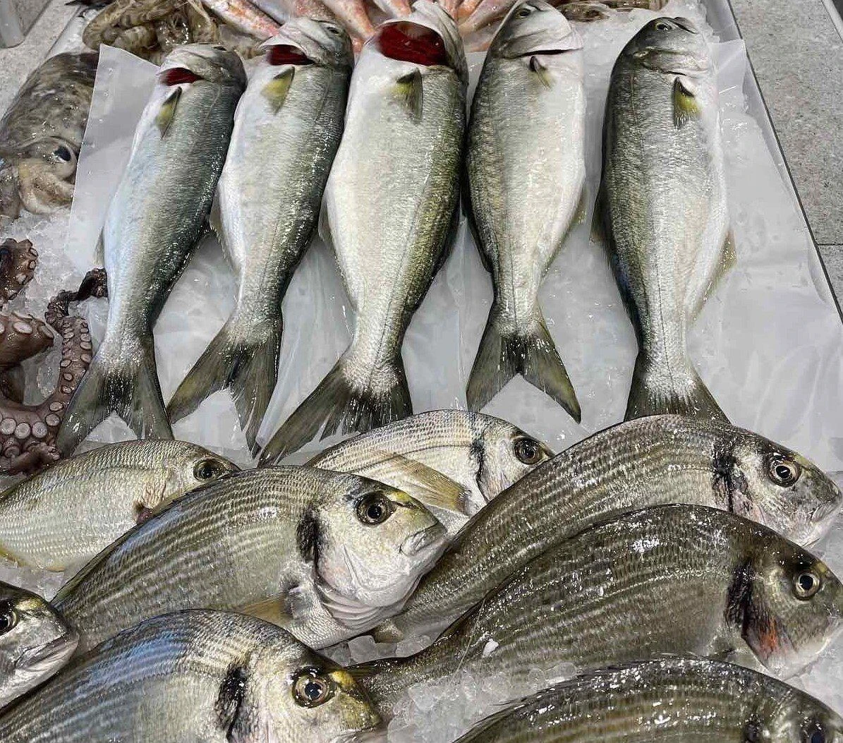 gkfish3.jpg