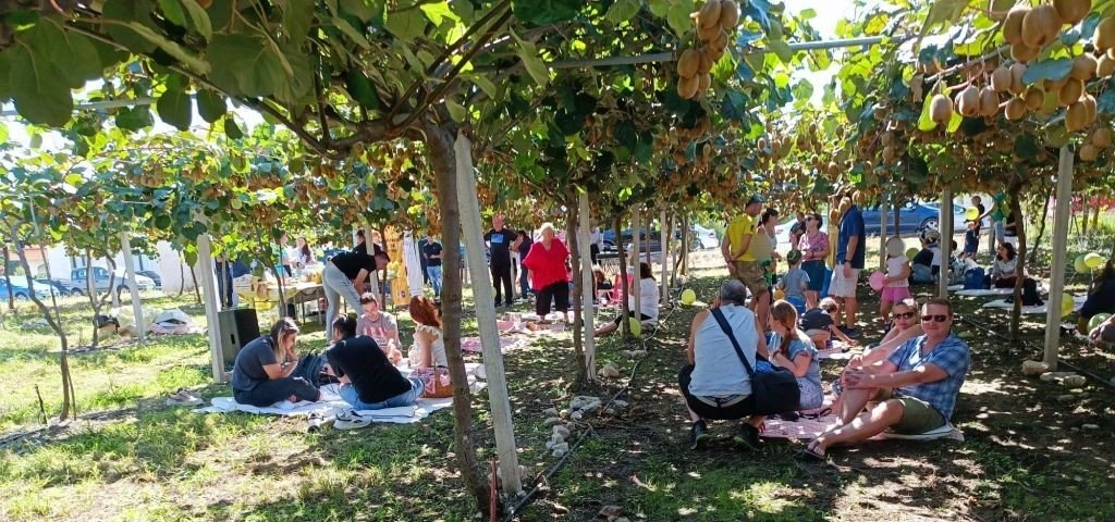festival-gastronomias-diou-olympou2.jpg