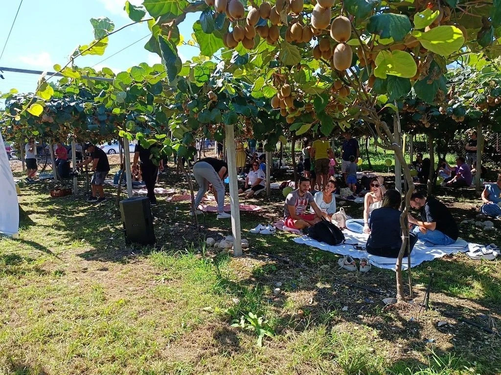 festival-gastronomias-diou-olympou3.jpg