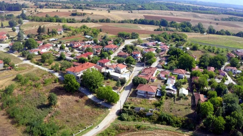 siatista-voio.jpg