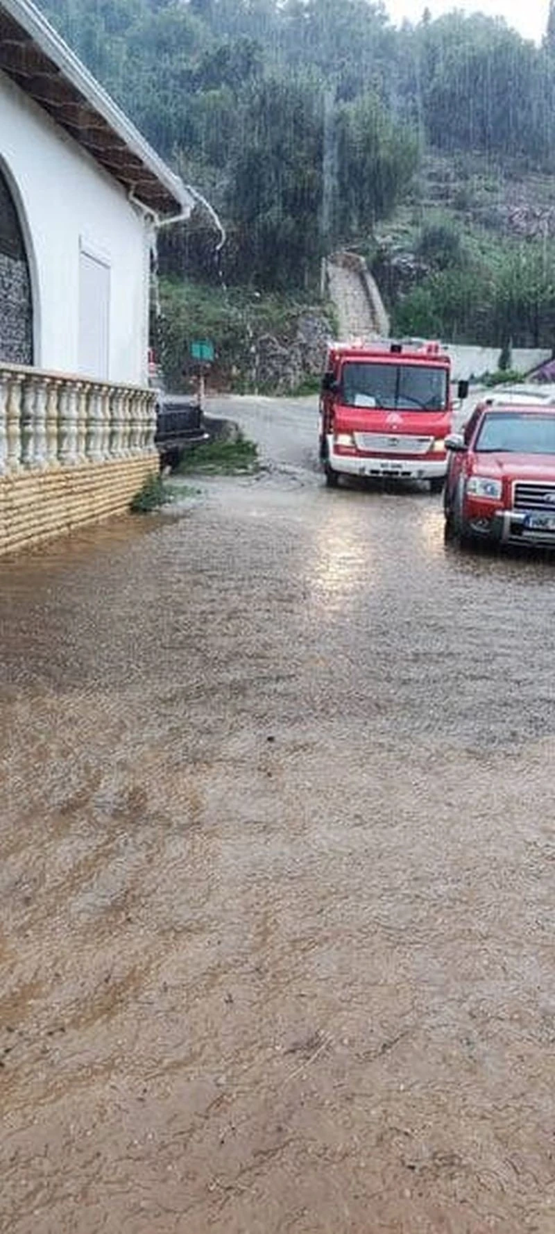 sivota-pl4.jpg
