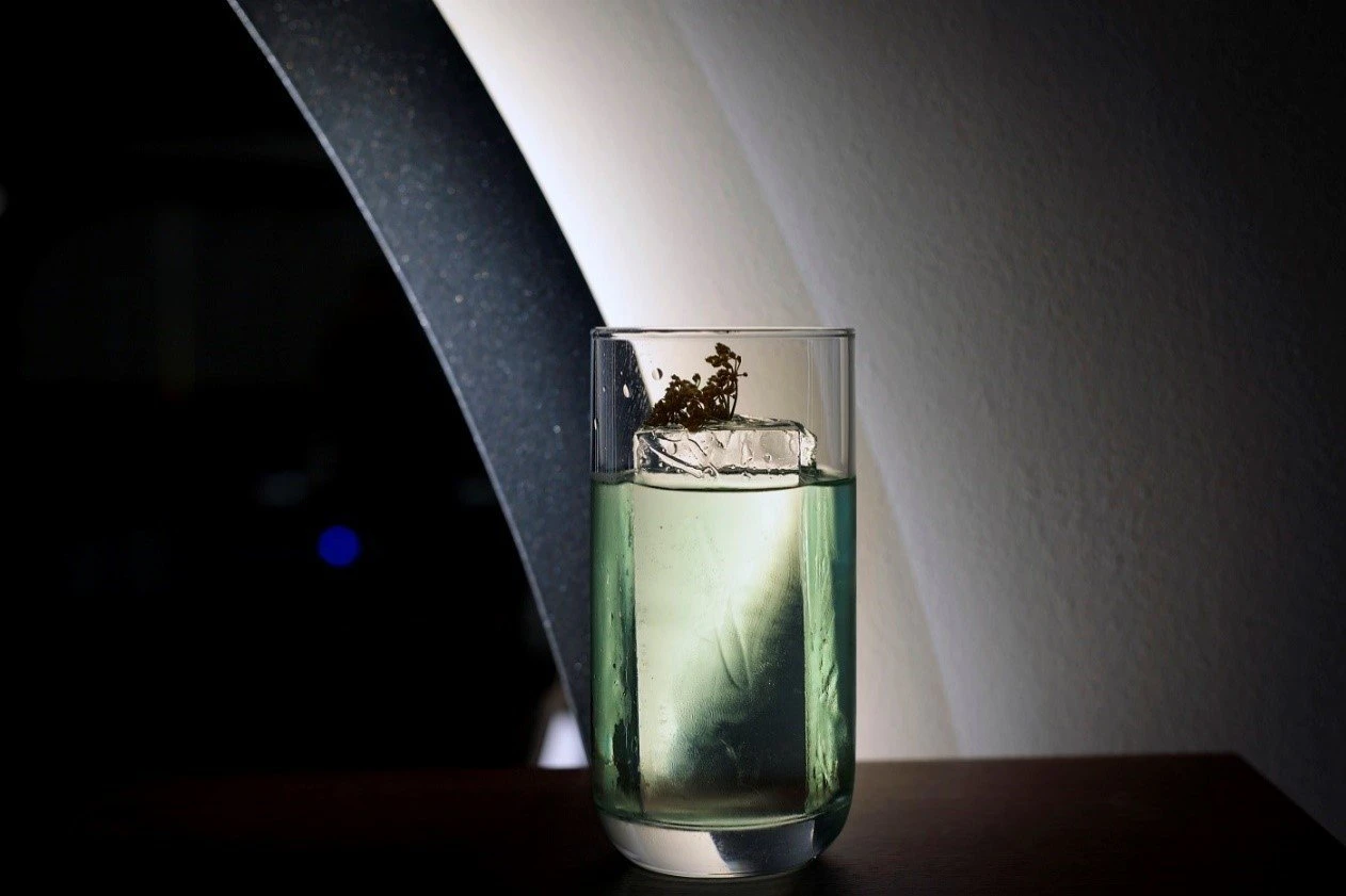 moldee-bar-16.jpg