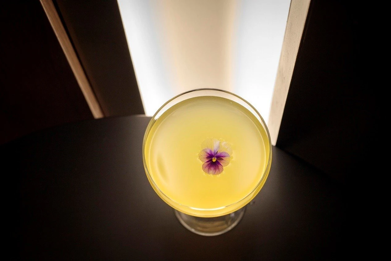 moldee-bar-17.jpg