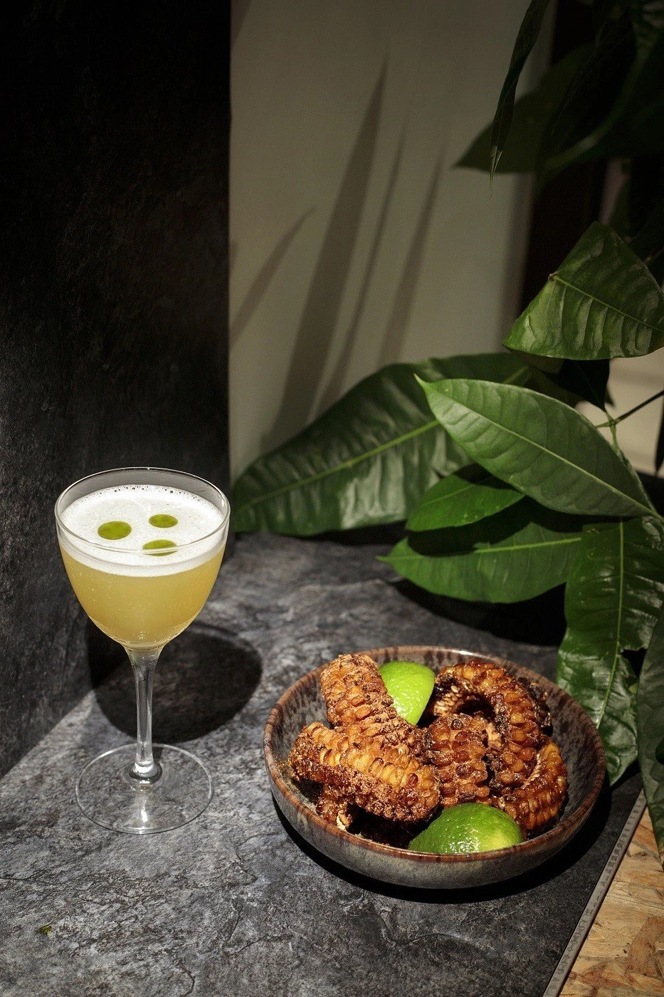 moldee-bar-6.jpg