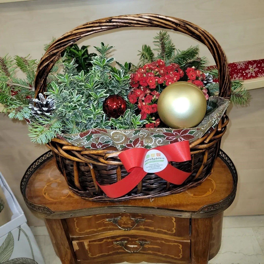 7-hcqxR.jpg