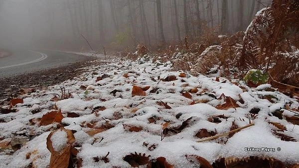 arnaia2.jpg