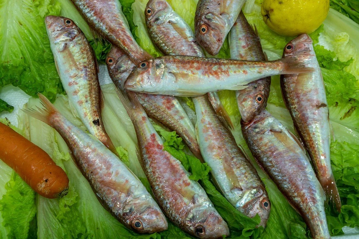 kapetanios-7.jpg