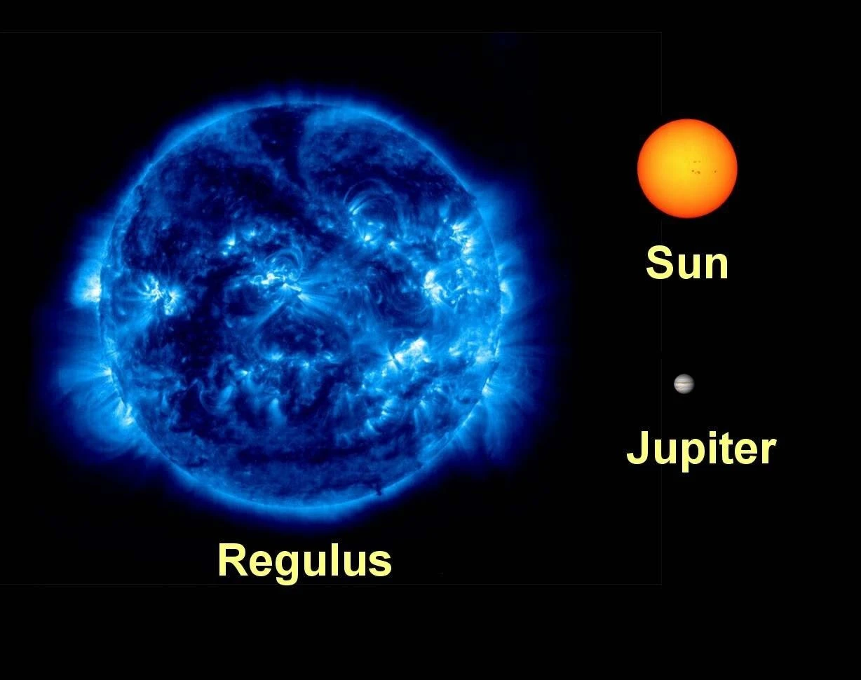 regulus.jpeg
