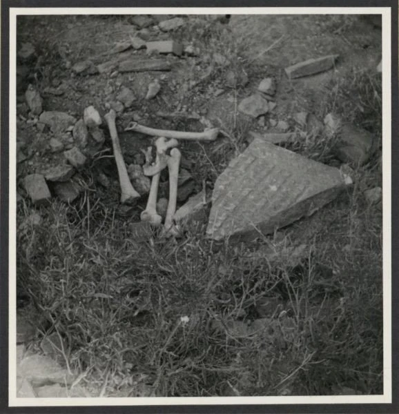 jewish-cemetary.jpg