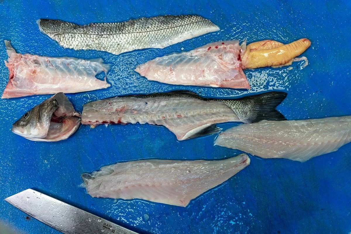 thalassokipos16.jpg