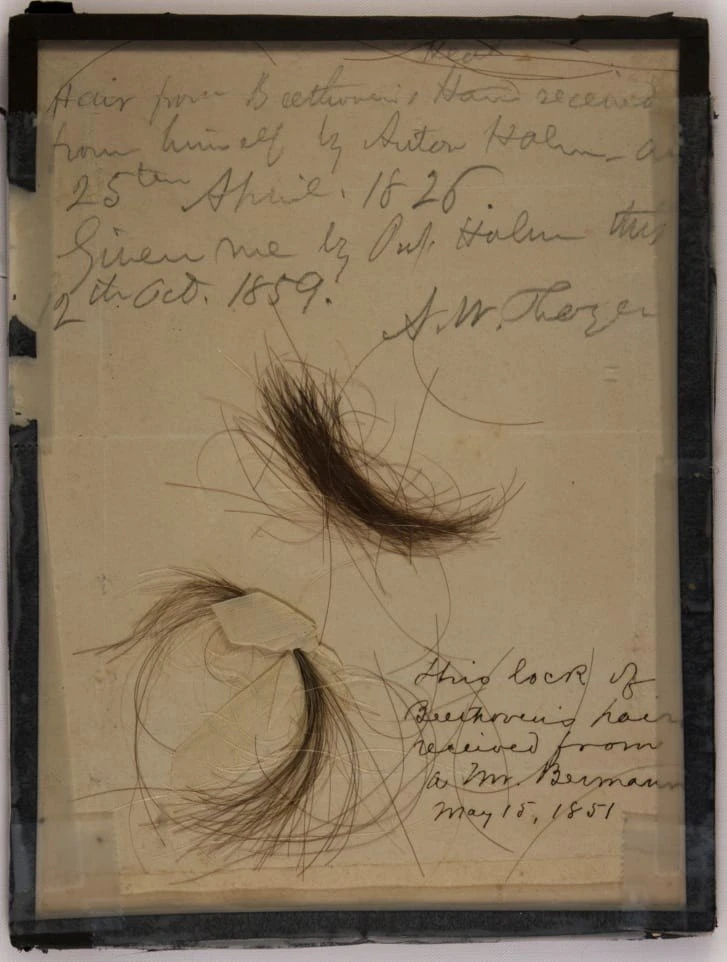 beethoven-hair.jpg