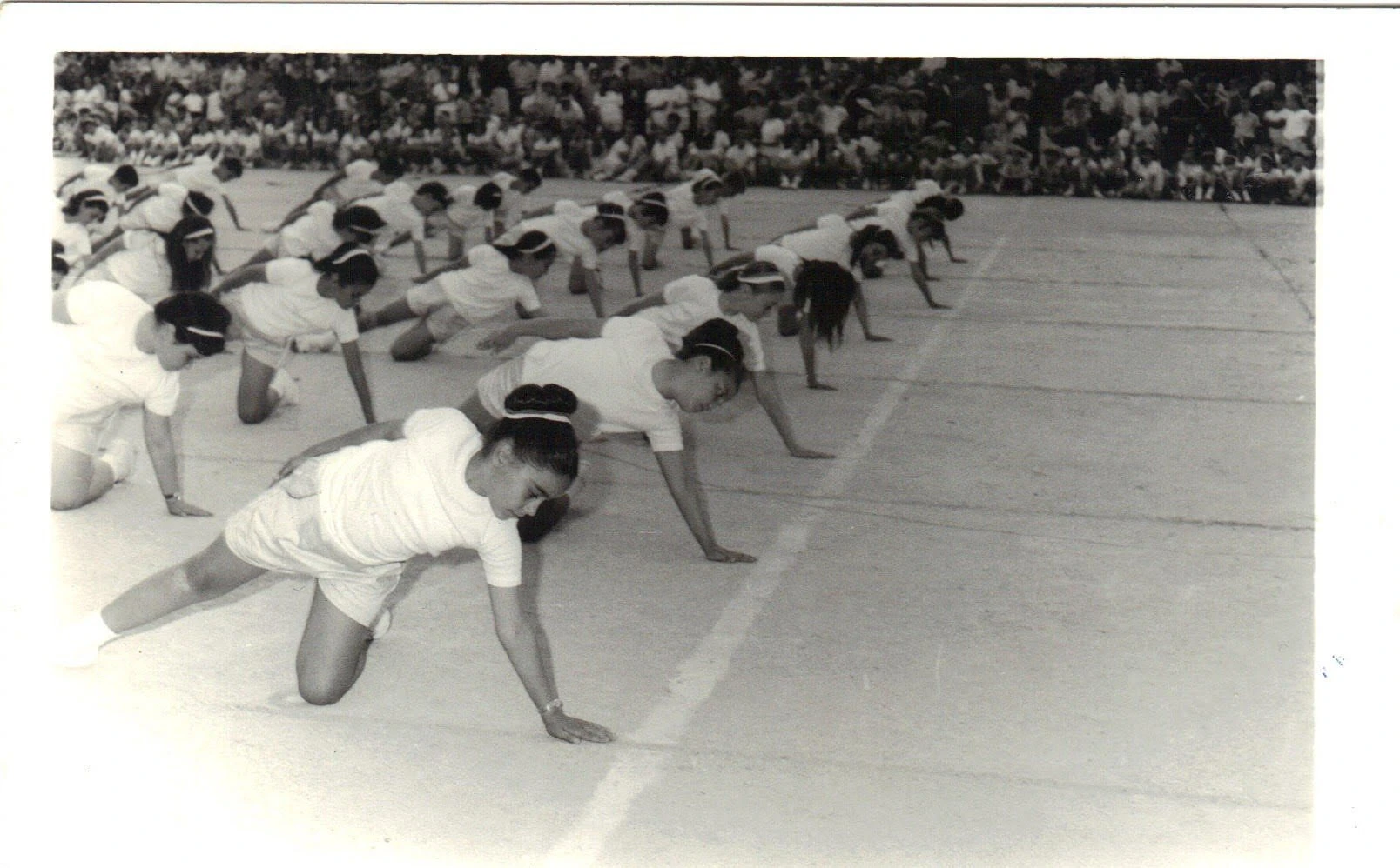 arapoglou-gimnastikes-epidikseis.jpg