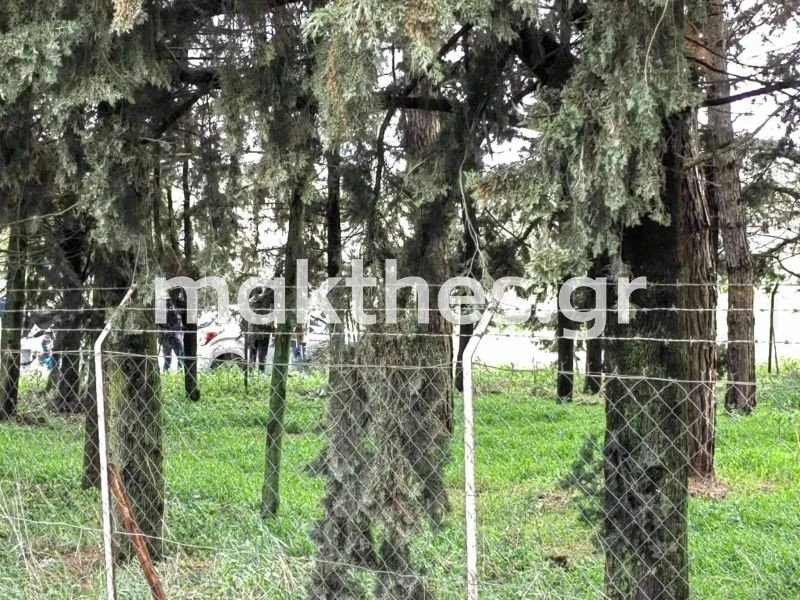ptoma-gynaikas-xalkidona2.jpg