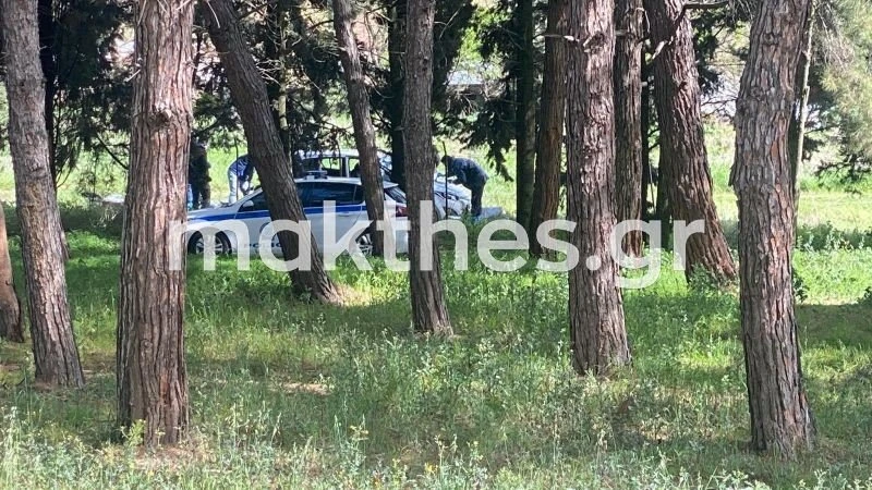 ptoma-gynaikas-xalkidona5.jpg