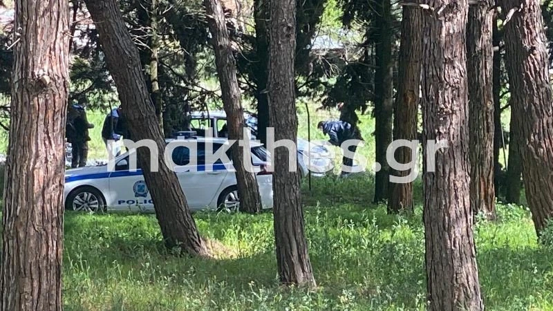 ptoma-gynaikas-xalkidona6.jpg