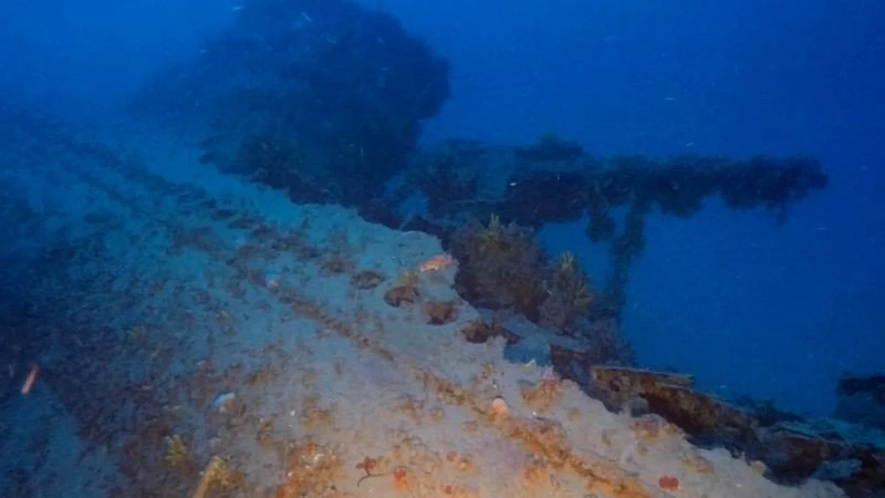 nayagio-kavo-ntoro5.jpg