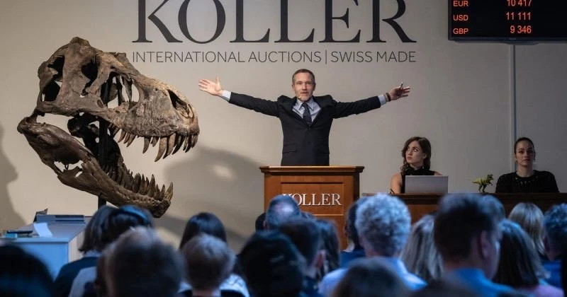 https://inworldtrend.com/t-rex-skeleton-folded-usnews-usnewstoday/