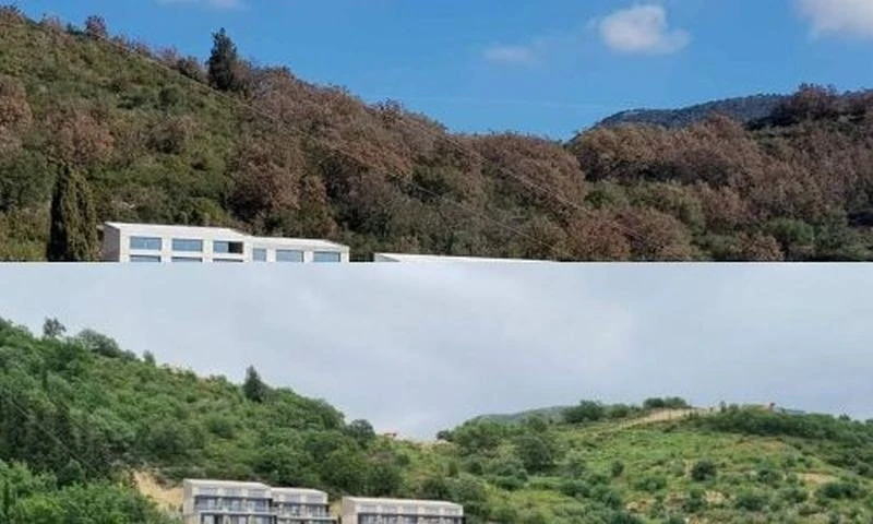 dasos-syvota.jpg