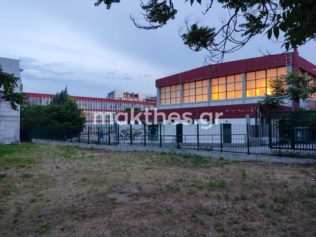 30o-gymnasio-thessalonikis-oxia-fidi-giannitson.jpg
