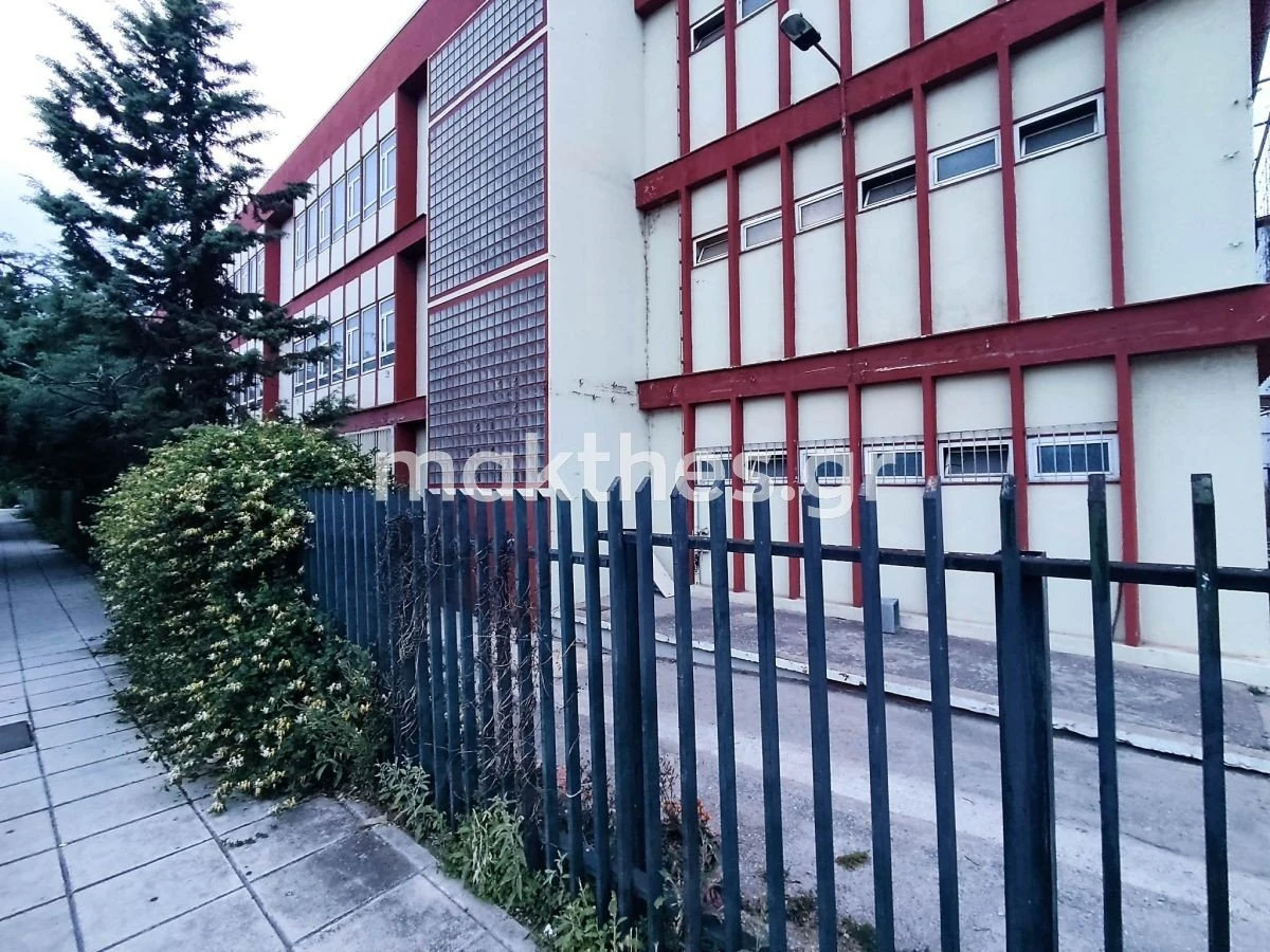 30o-gymnasio-thessalonikis-oxia-fidi-giannitson2.jpg
