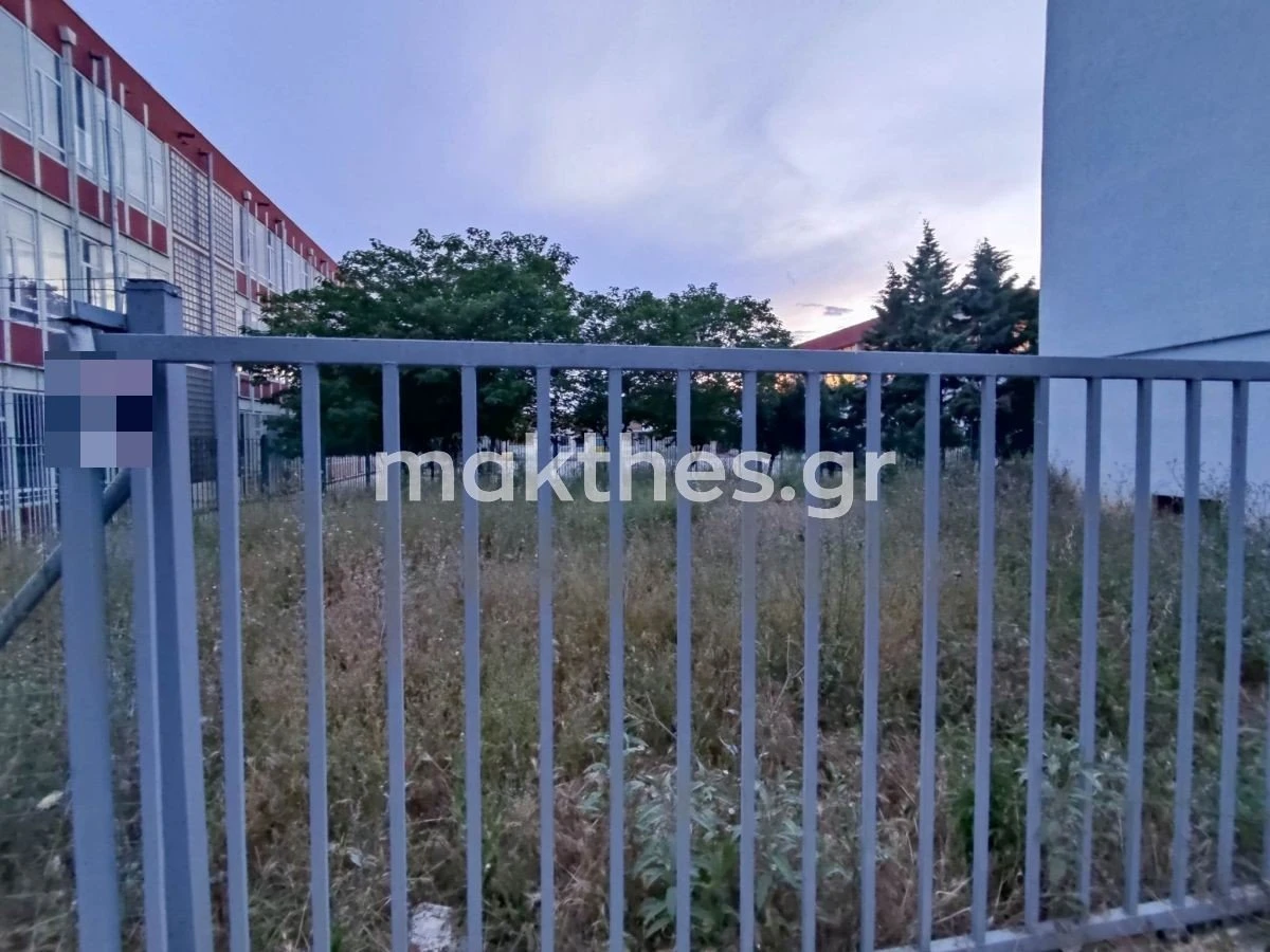 30o-gymnasio-thessalonikis-oxia-fidi-giannitson4.jpg
