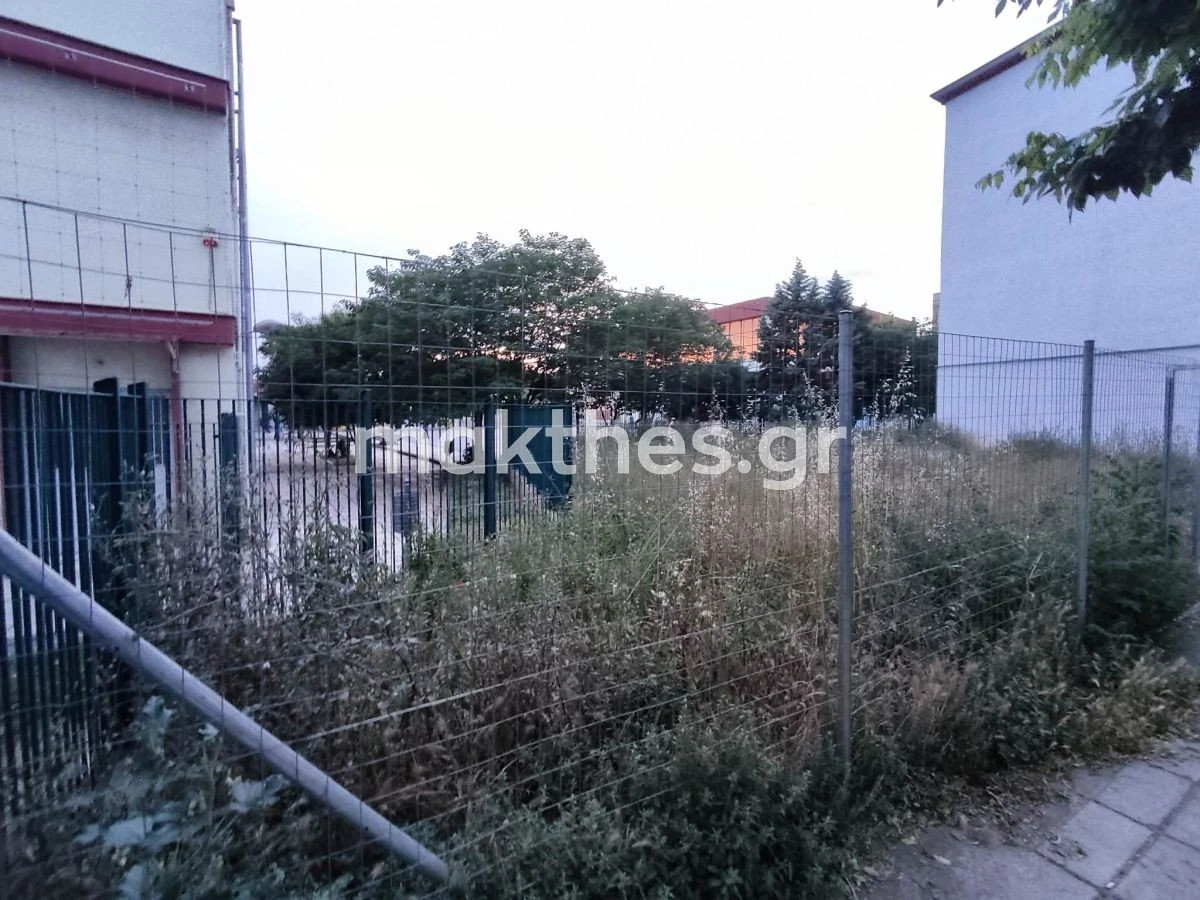 30o-gymnasio-thessalonikis-oxia-fidi-giannitson5.jpg