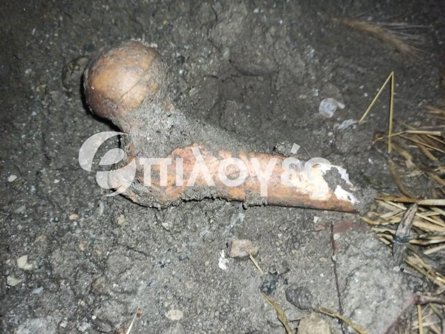 osta41.jpg