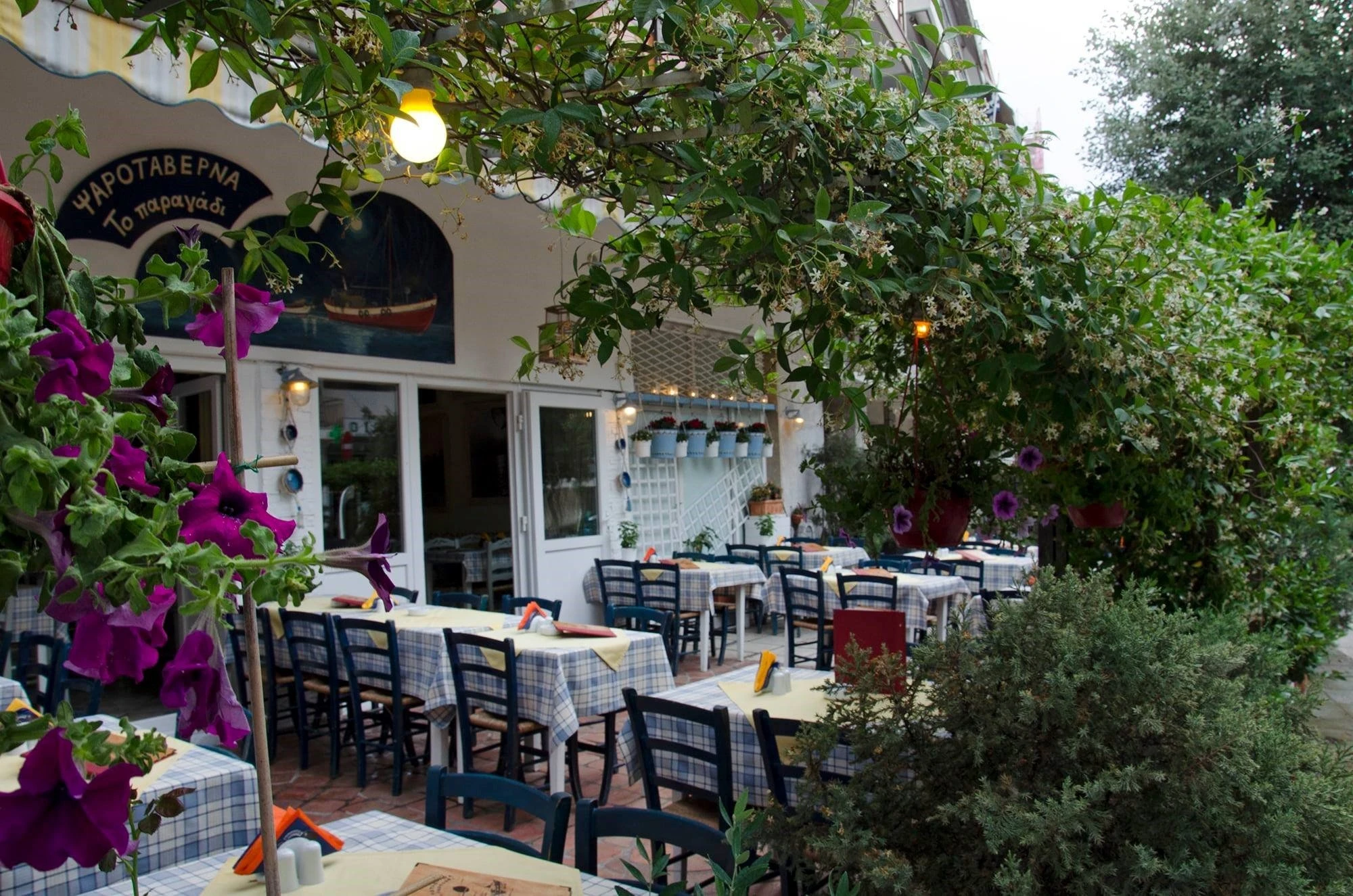 to-paraghadi1.jpg?v=0