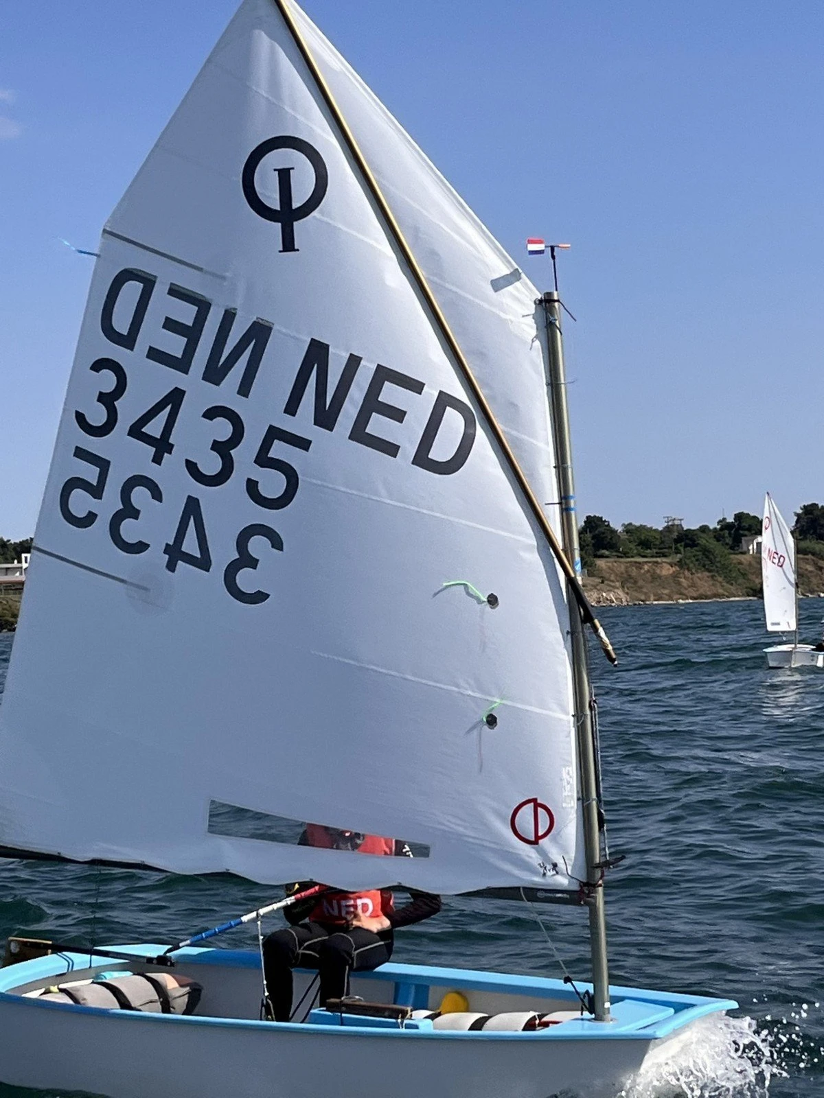 optimist-ned1.jpg