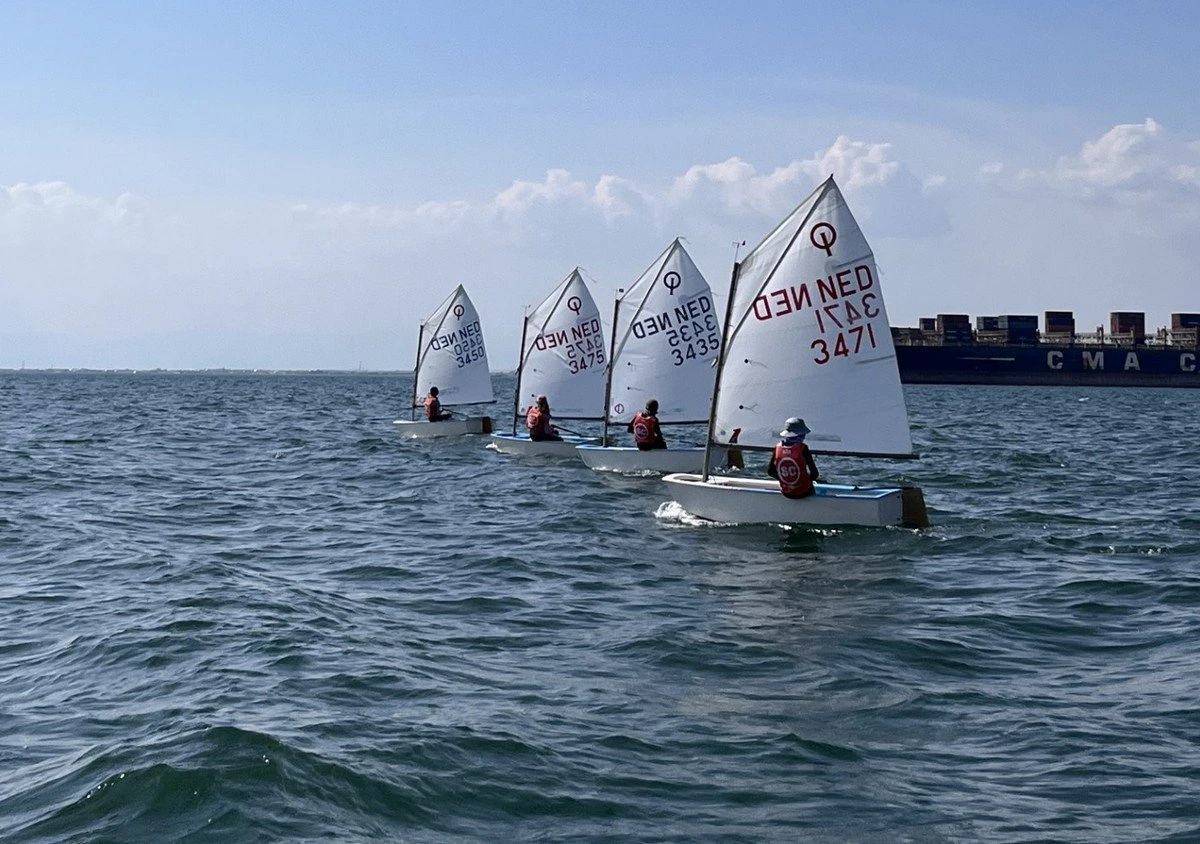 optimist-ned2.jpg