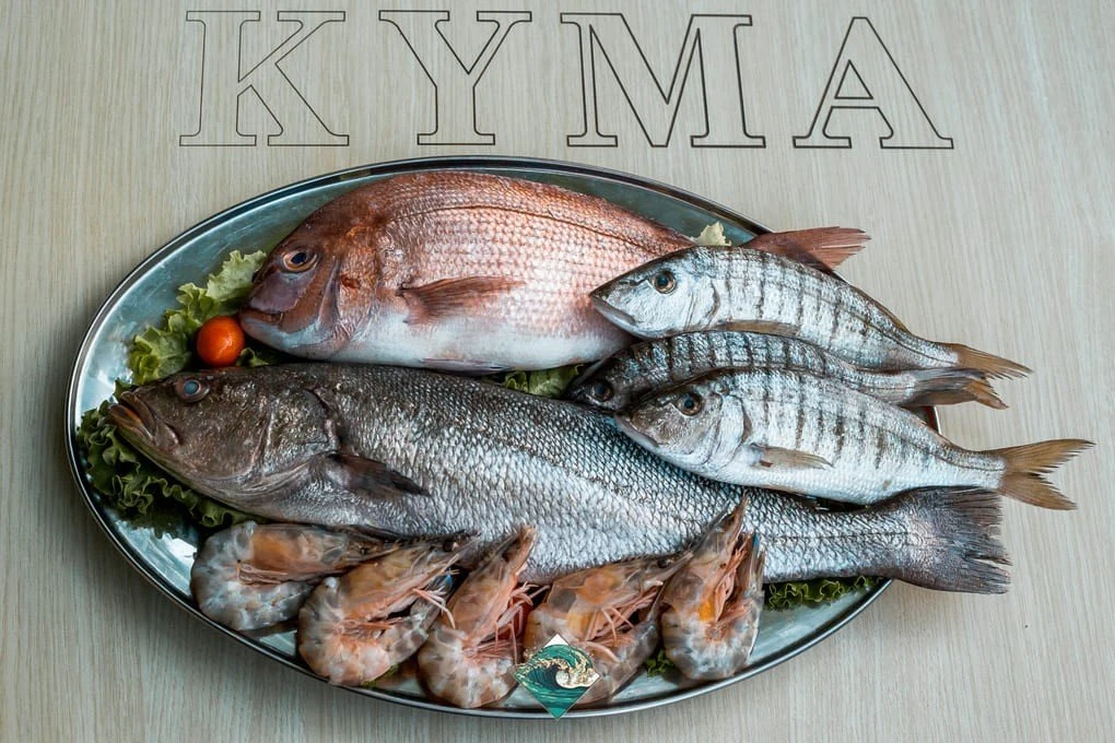 kyma19.jpg