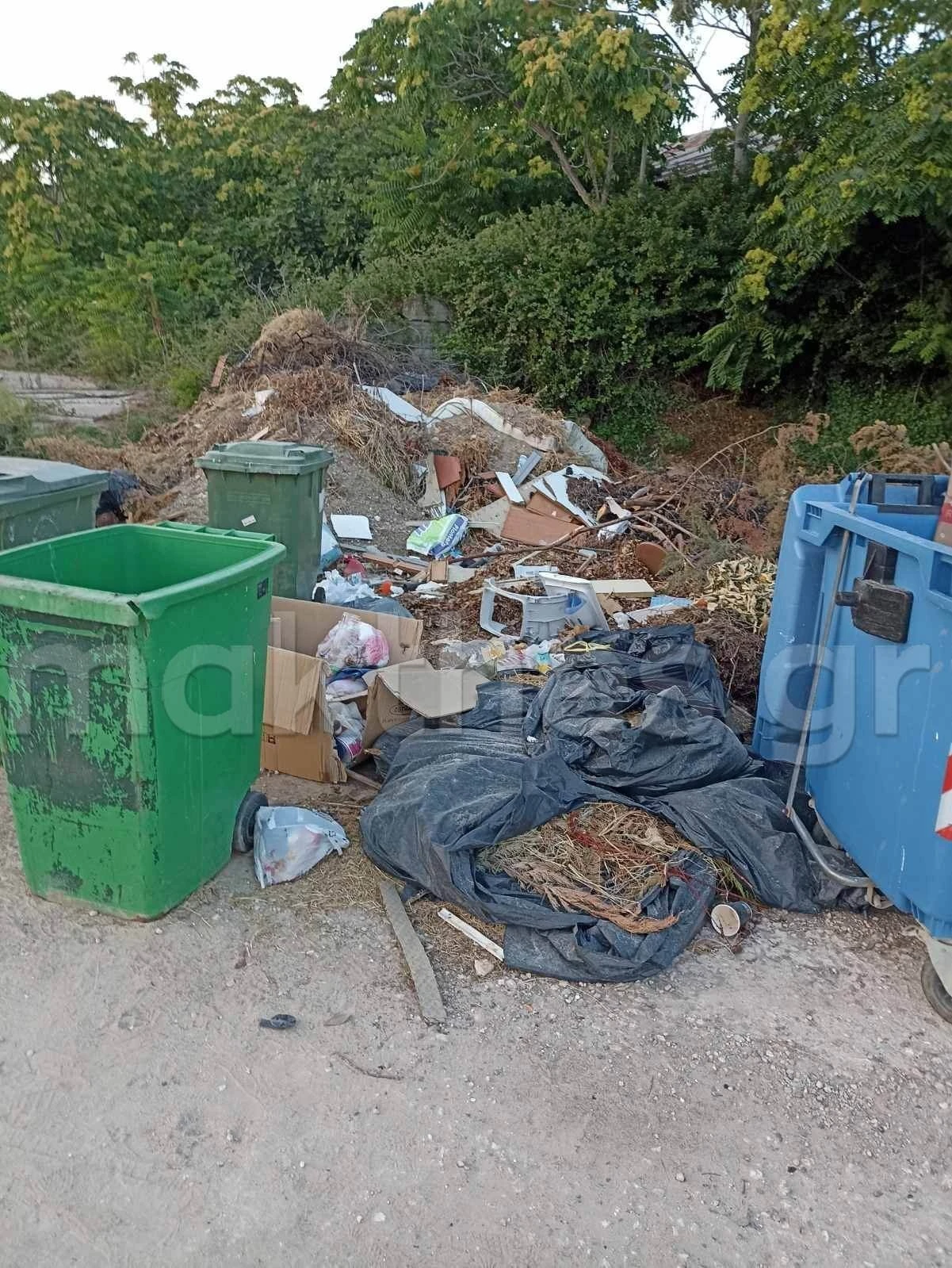 xalkidiki-skoupidia3.jpg