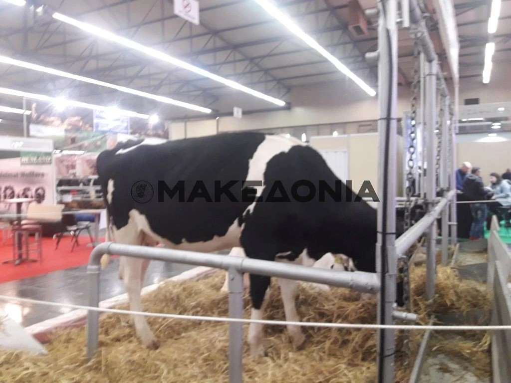 zootechnia-2019b.jpg