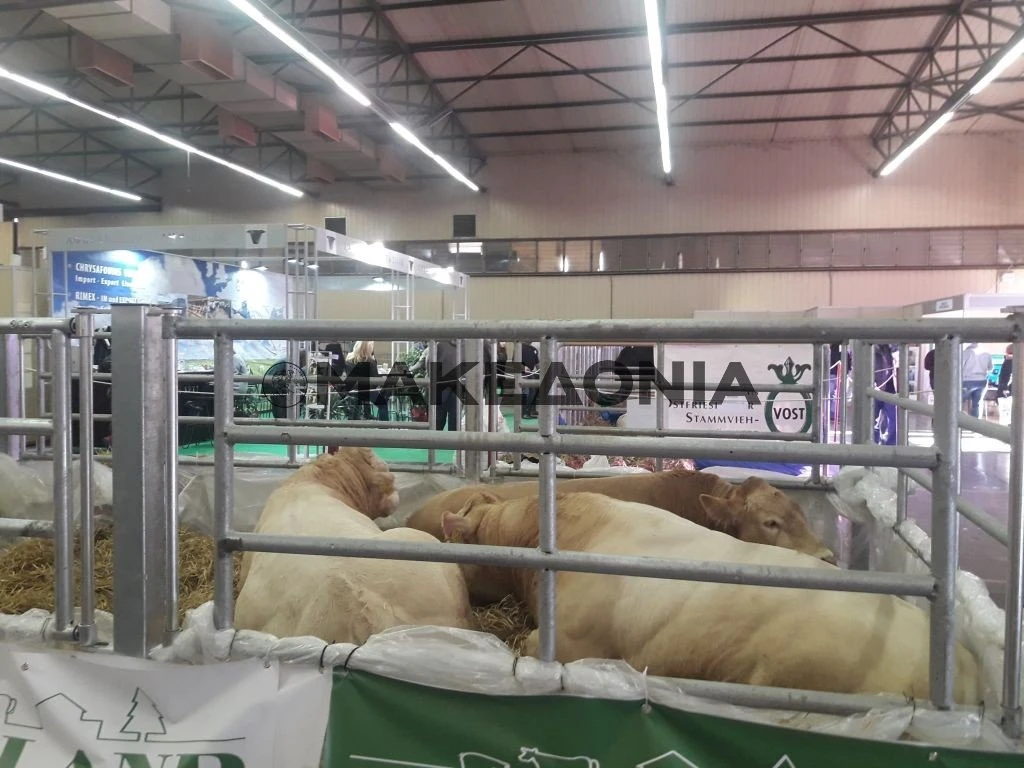 zootechnia-2019g.jpg