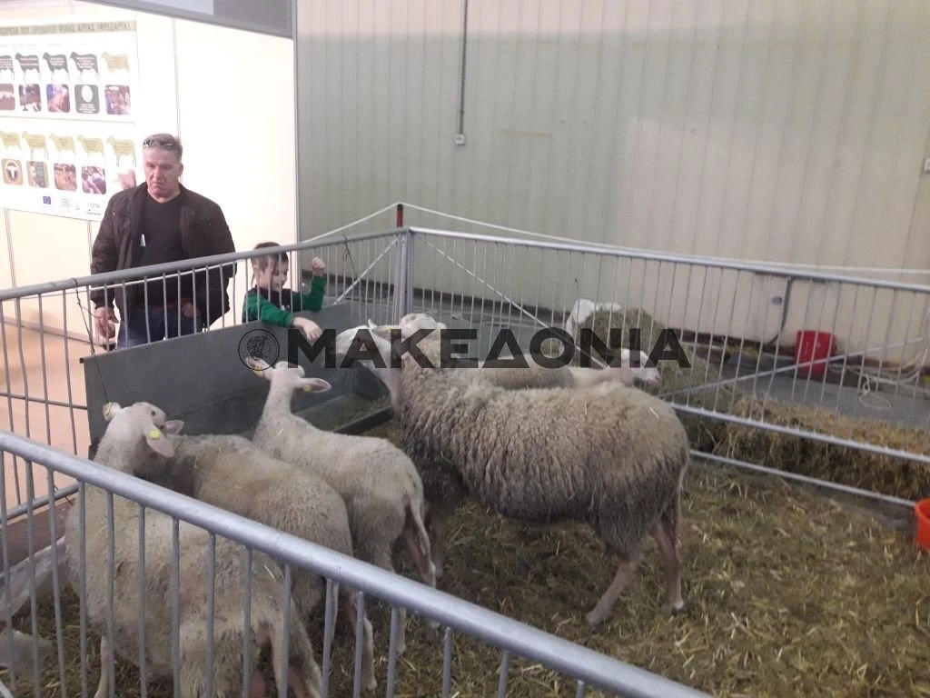 zootechnia-2019j.jpg