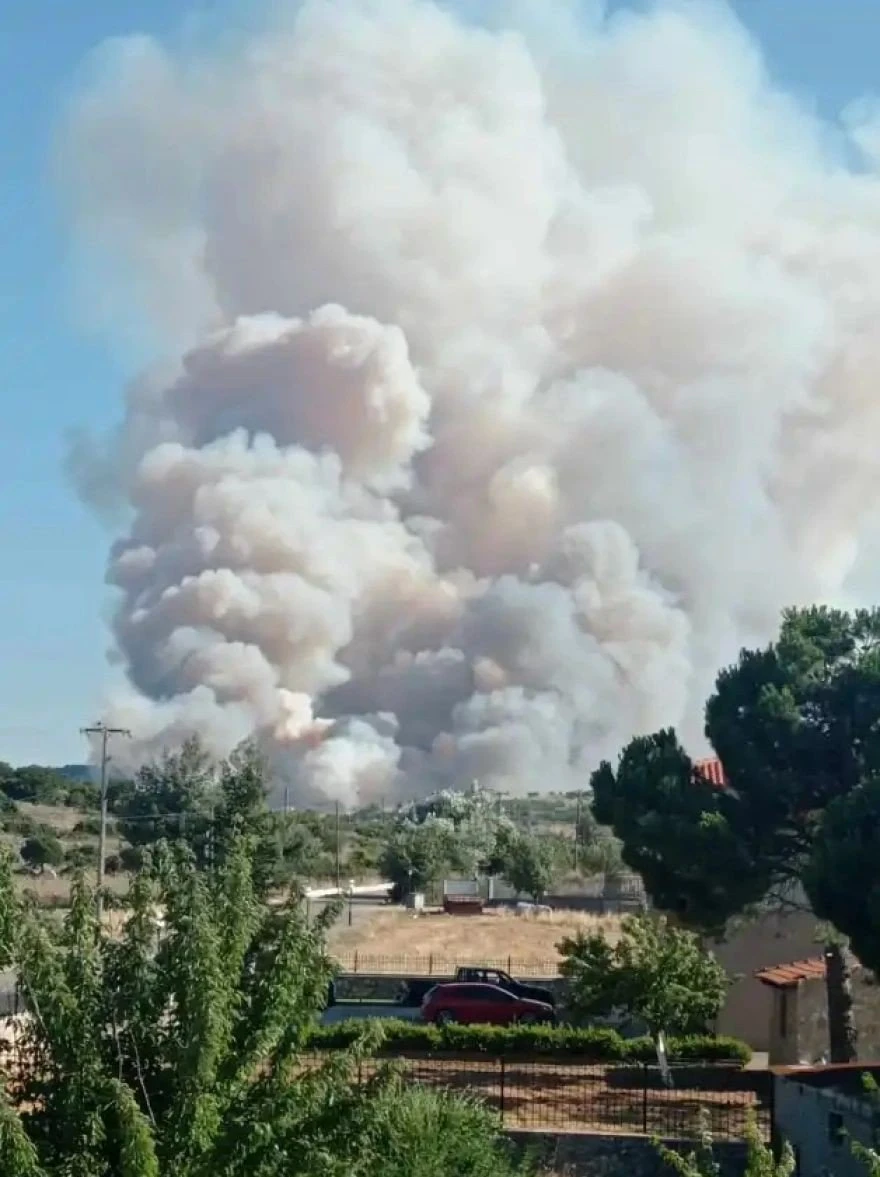 https://viotiaplus.gr/58296/