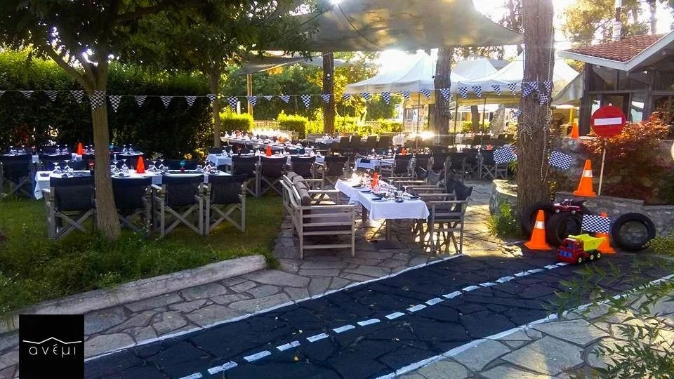 anemi27.jpg