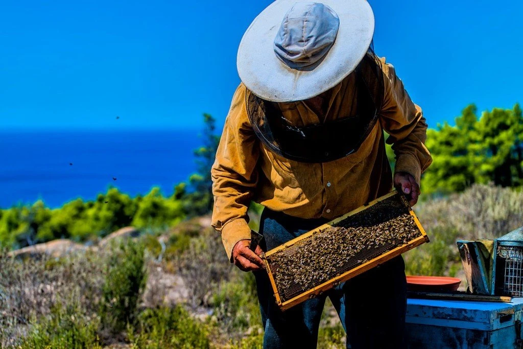 honey-maker.jpg